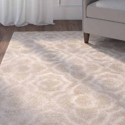 Stonybrook Memphis Shag Performance Rug