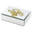 Botanica Glass Decorative Box-49827266