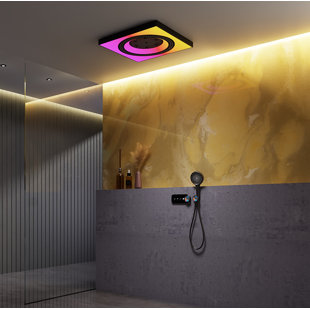 Pomme de douche thermostatique fixée au plafond avec valve brute