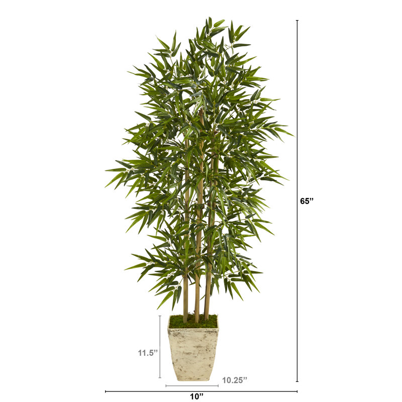 65'' Faux Bamboo Tree in Planter