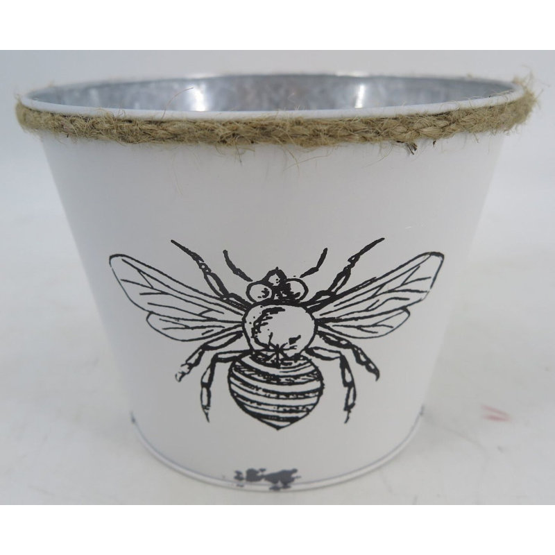 Waddell Metal Pot Planter