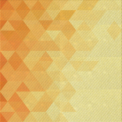 Indoor Rug