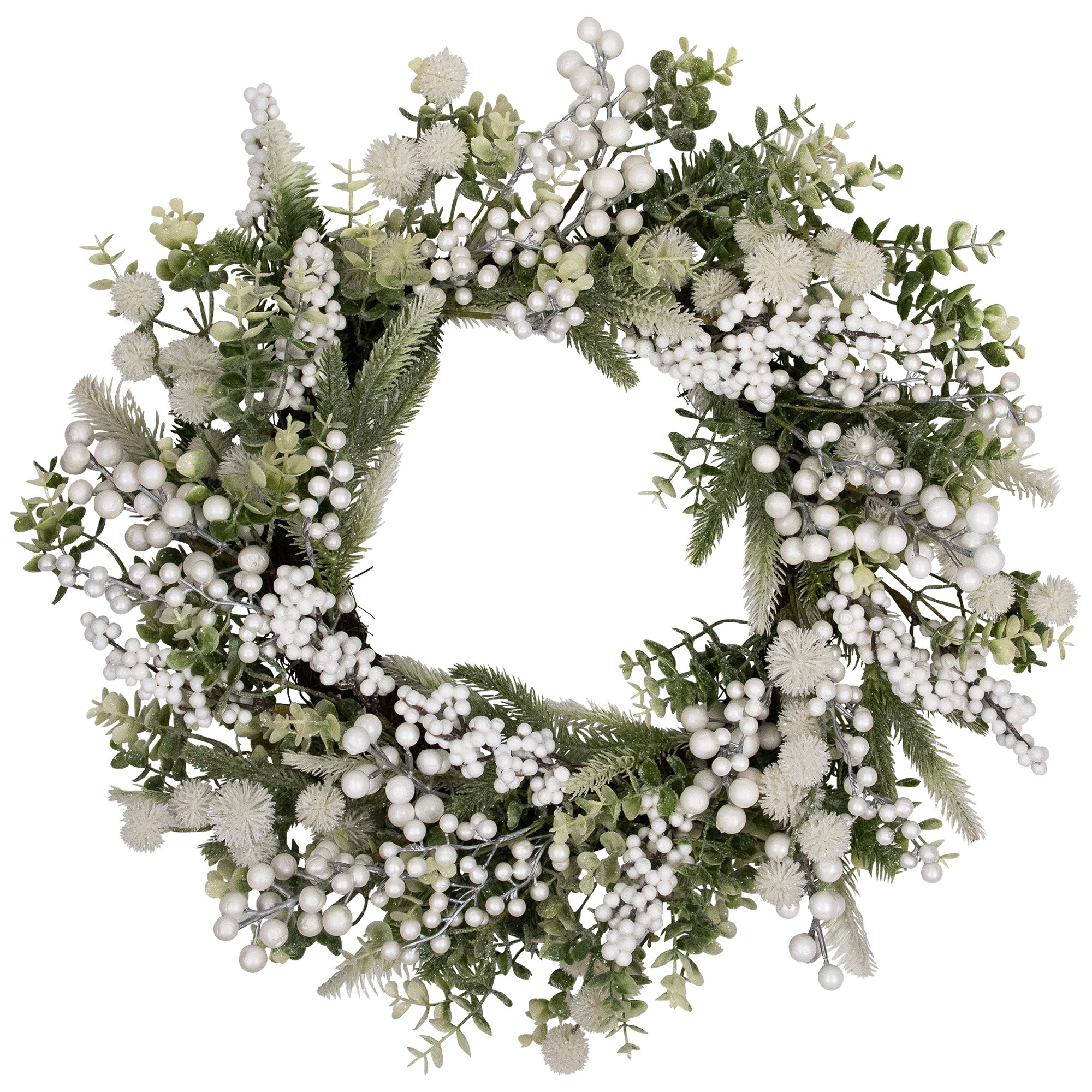 Northlight Seasonal Faux Fir Plastic 24'' Wreath | Birch Lane