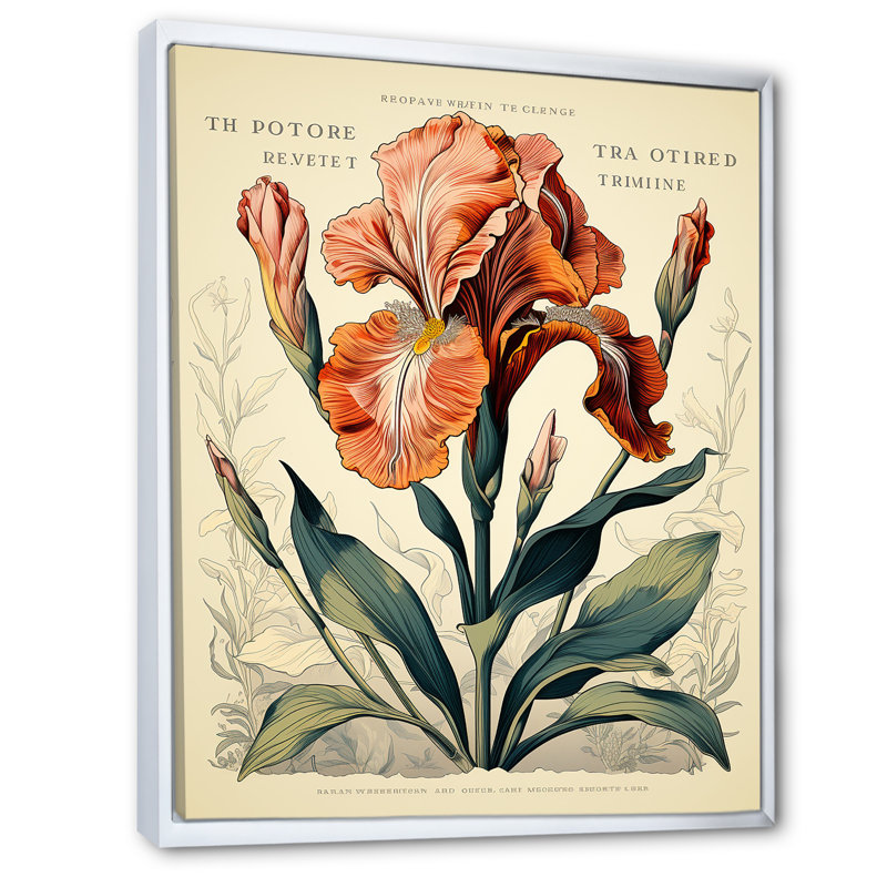 Iris rouge, illustration rétro sur toile, H 44 po x l 34 po x P 1,5 po, Cadre flottant blanc