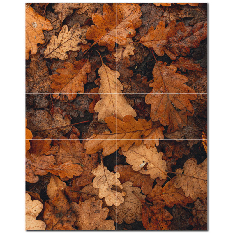 Photo d'automne 6 x 6