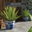Landscape Chinese Porcelain Pot Planter