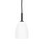 1 - Light Black/White Dome Pendant-69317770