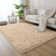 Alaunna Standard Shag Area Rug