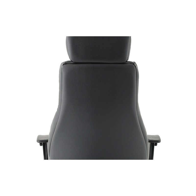 Executive Chair with Headrest