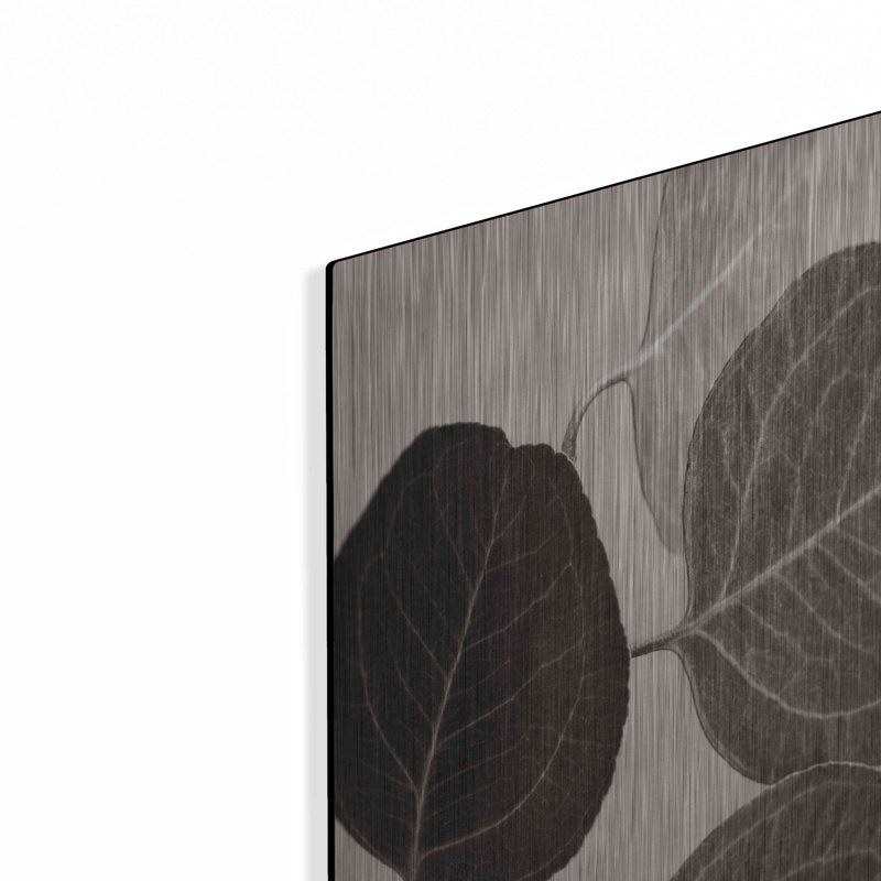 "Eucalyptus sépia" par Debra Van Swearingen, H 24 po x l 16 po