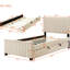 Lit simple tapissier en velours avec lit gigogne beige-711624381-711624383