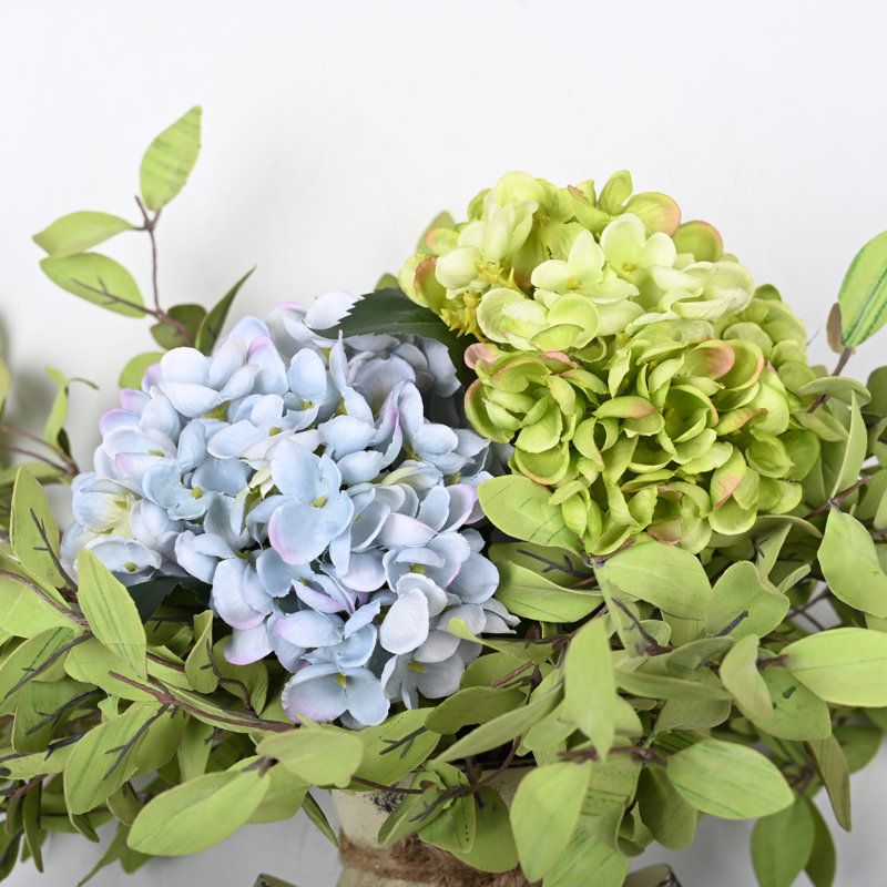 Arrangement d'hortensias en pot, Bleu / vert