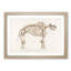Mammoth Skeleton by Charles d' Orbigny - Picture Frame Graphic Art Print-55576643-55576642