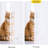 Non-See-Through Off Sheer Curtains 2 Panels, Privacy Rod Pocket & Back Tab Window Treatments Light Filtering for Living Room/Bedroom-1500151801-1500151804