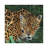 Jaguar Big Cat II by David Stribbling - Gallery-Wrapped Canvas Giclée on Canvas-2131921200-2131921201
