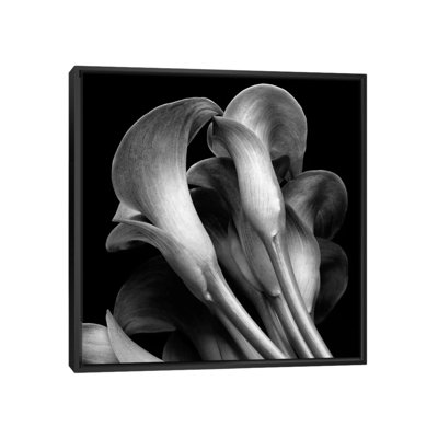 « lillies » par michael harrison, reproduction de photo sur toile