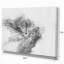 «Black and White Deer», reproduction d'art sur toile tendue-29497032