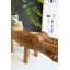 Banc Kalalou sculpté en bois de teck Crocodile