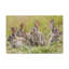 No Frame Print on Canvas-1112745749