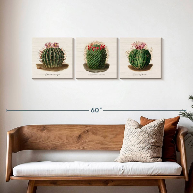 Iconographie descriptive des cactus, H 15 po x l 47 po