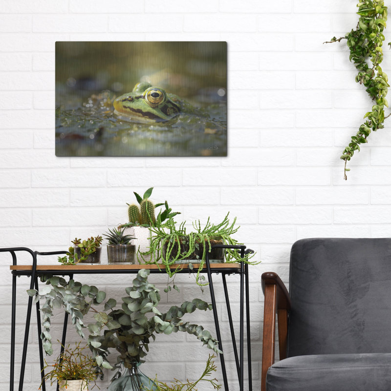 «Frog» par Martin Podt, H 12 po x l 16 po