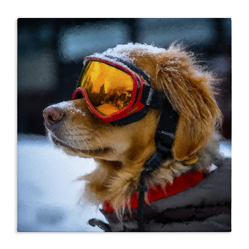 Toile de ski pour chien, conception de Sean Parnell, H 36 po x l 36 po