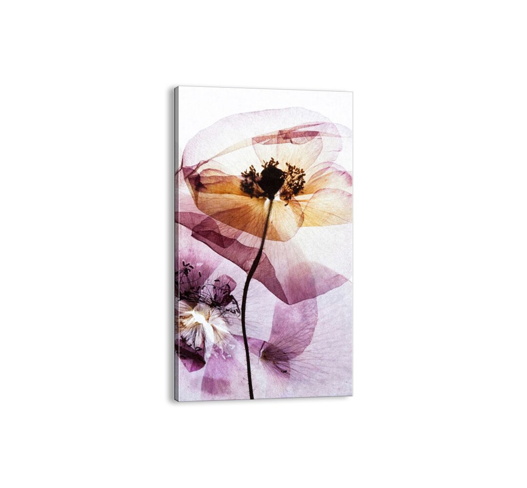 Leinwandbild - Grafikdruck „Flowers Body Filmstrip”