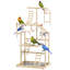 Bird Stand