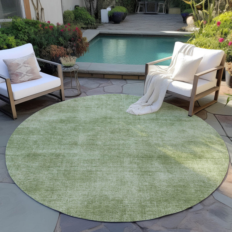 Tapis intérieur / extérieur vert Orlena , 3 pi x 5 pi
