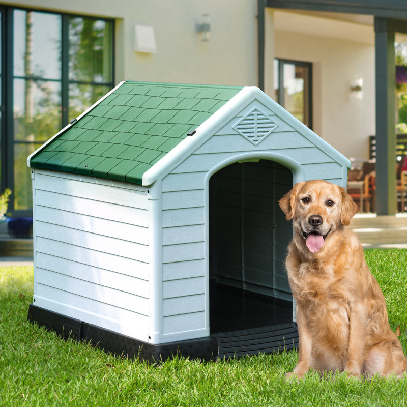 Niche pour chien Shelia, Vert / blanc / noir, H 38,8 po x l 38 po x P 41,3 po