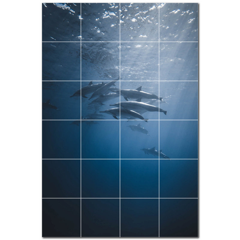 Murale décorative en céramique 6 "x 6" Dolphin Photo