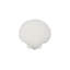 Sea Shell Wall Art, White Stone