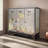 18 Pair Shoe Storage Cabinet