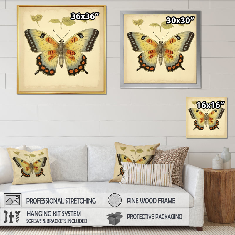 Illustration rétro d'un papillon élégant, Toile tendue, H 16 po x l 16 po x P 1 po