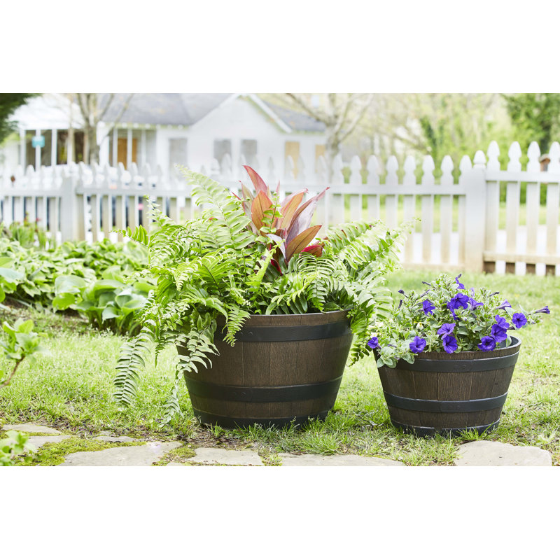 Jibril Barrel Planter, 12.2" H x 20.47" W x 20.47"D, Kentucky Walnut