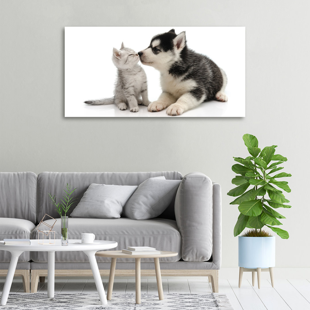 Hund und Katze - Ungerahmte Kunstdrucke auf Leinwand