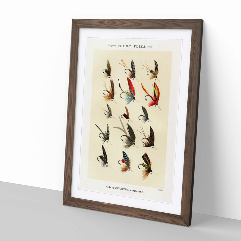 Trout Fishing Flies Version 3 by Mary Orvis Marbury - Framed Print, Walnut, 76cm H x 50cm W x 2cm D