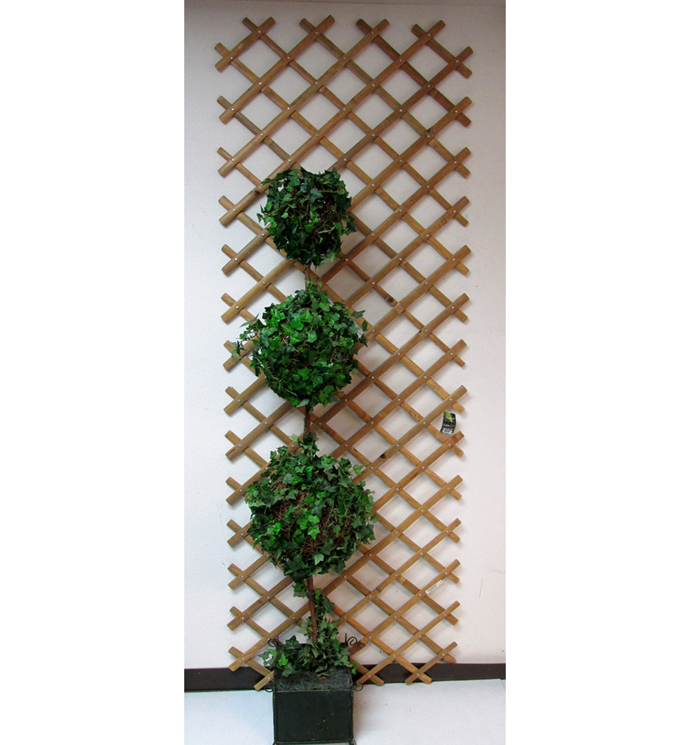 Wood Expanding Trellis MGP 
