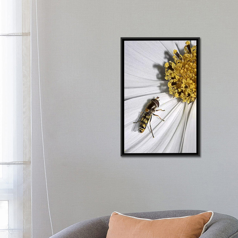 « one from sd smart », reproduction de photo sur toile, H 26 po x l 18 po x P 1,5 po, Toile avec cadre noir, Pas de tapis