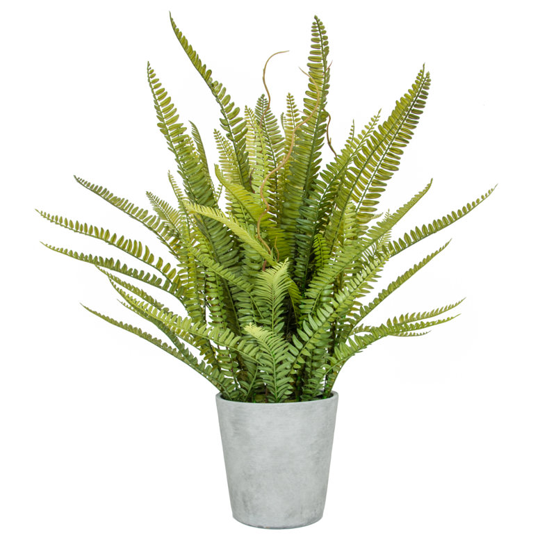 80cm Faux Fern Plant in Composite Pot