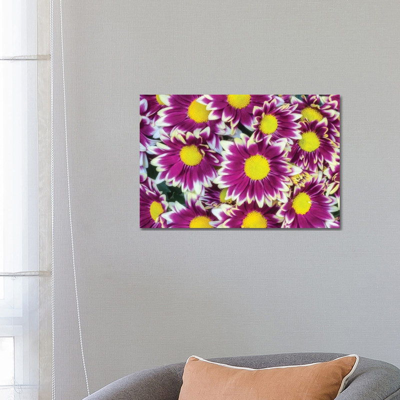 Colourful Flower Background by Glauco Meneghelli - Wrapped Canvas Print, 66.04 cm H x 45.72 cm W