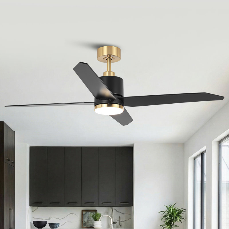 52" 4 - Blade Ceiling Fan With LED Lights And Remote Control, Black