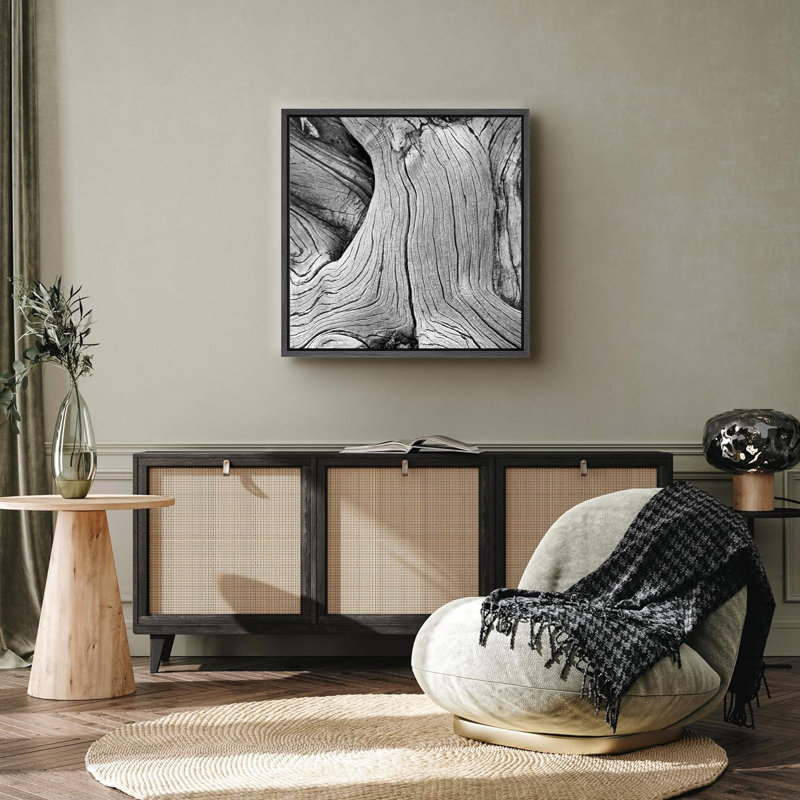 Photographie vintage de plantes naturelles : arbre, écorce, grain de bois, nœuds, gros plan rustique, noir et blanc, Noir