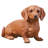 Troutville Dog No Additional Durability Resin Garden Statue