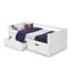 Friedemar Kids Twin Day Bed With Drawers-1171695672