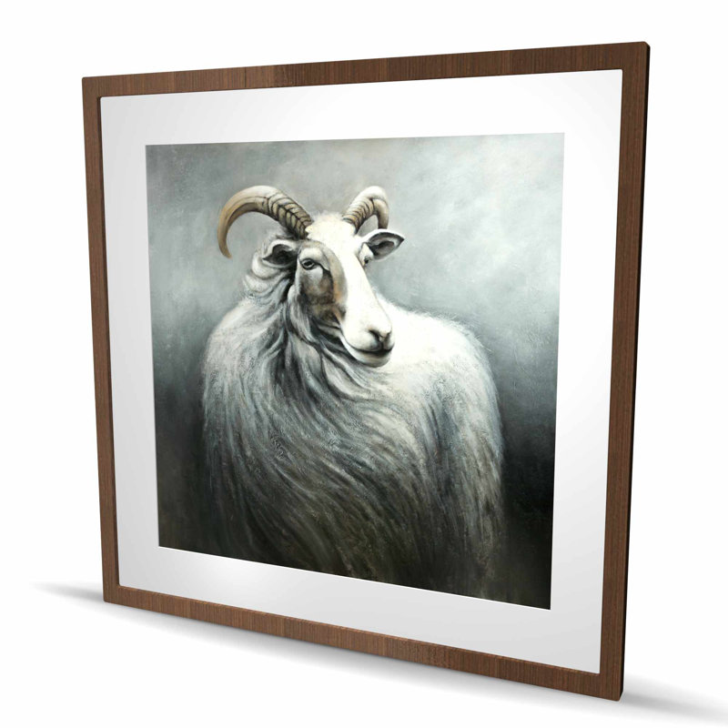 Chèvre cachemire - gris