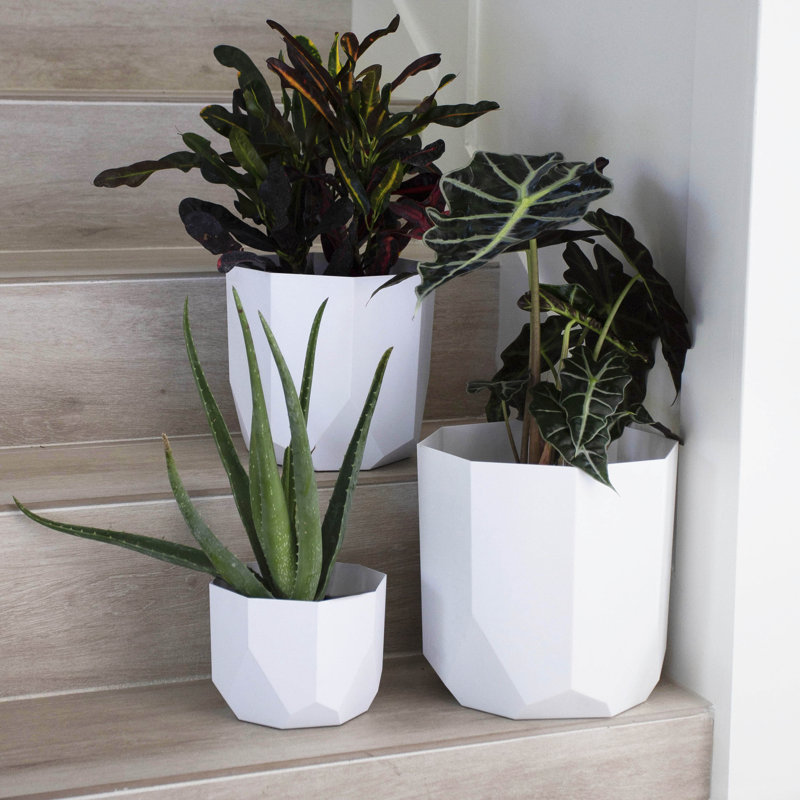 Tuxton Geometric Plastic Indoor/Outdoor Planter, 9.75" x 10.13" x 10.13", White