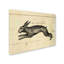 «The Hare» par Marcee Duggar - impression sur toile tendue-23107011