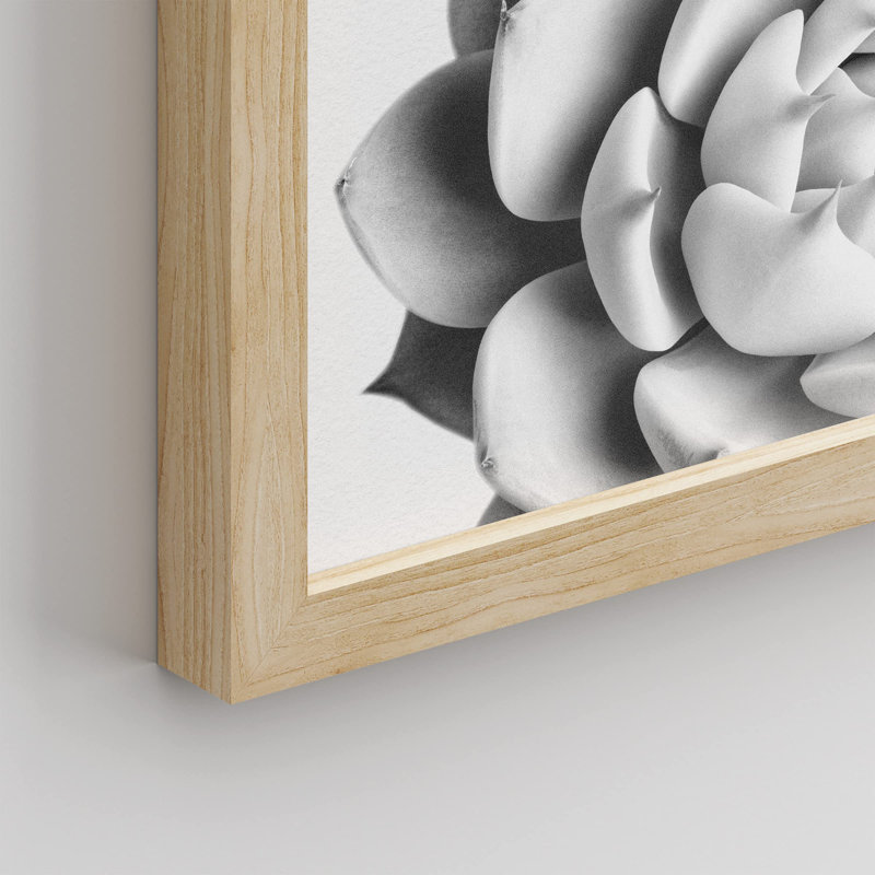 «Succulent Cactus Black and White Rosebud Gros plan» sur papier, Naturel, H 16 po x l 12 po