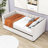 Chelcie Twin Size Velvet Upholstered Daybed with Twin Size Trundle-50140215